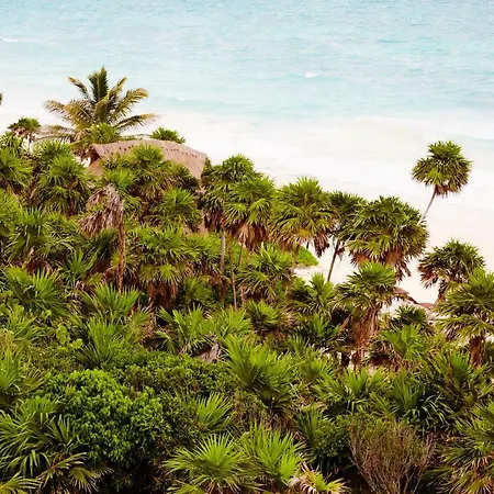 Papaya Playa Project, Tulum, A Member Of Design Hotels-3